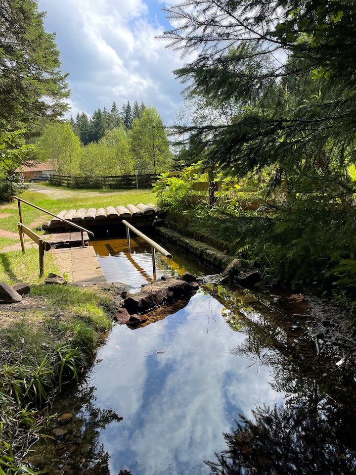 Zusätzliche Fotos Bild 3